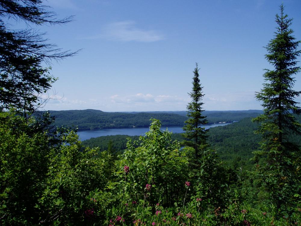 Sentier Des Chutes Blanches Saguenay Lac Saint Jean