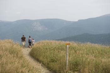 Sentier du mont Ernest-Laforce