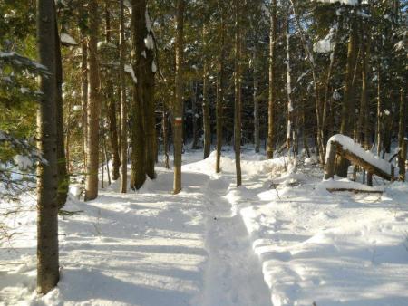Sentier des Trotteurs