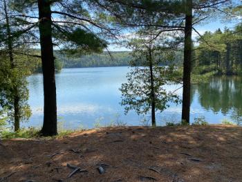 Lac Clair depuis l'aire de Piquenique