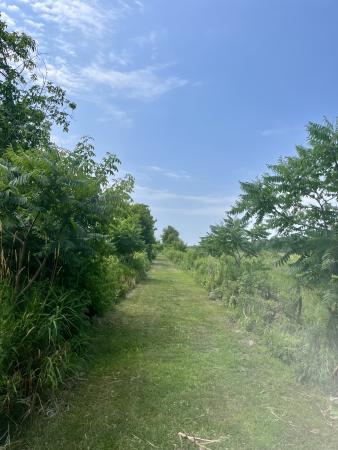    Un sentier parfait pour s’initier au barefoot!