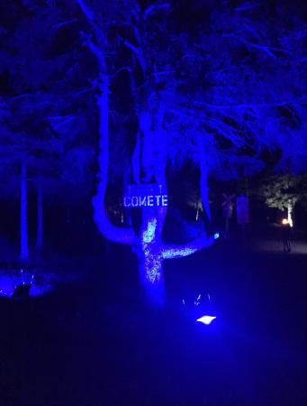 Près de Nova Lumina