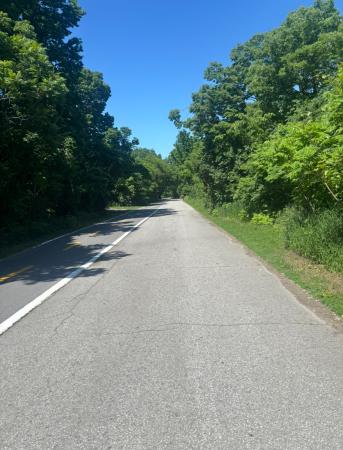 Sentier principal partagé avec les cyclistes