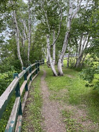 SENTIER PÉDESTRE DE LA POINTE-AUX-CORBEAUX