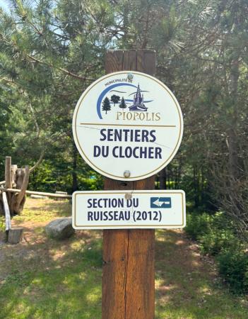 Début derrière le jeu de pétanque