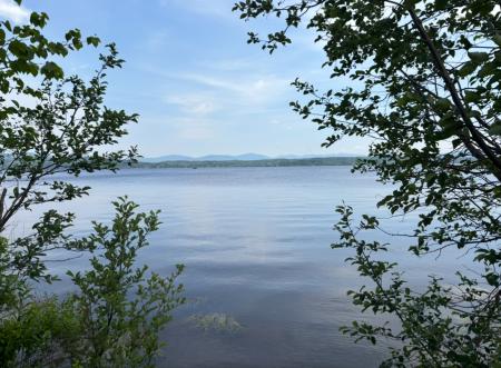 Section du ruisseau - Lac Mégantic