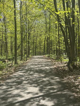 Bois la Source - Laval