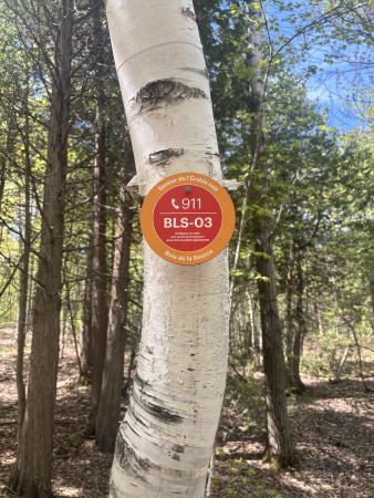 Bois la Source - Laval