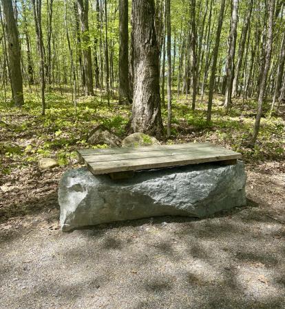 Bois la Source - Laval