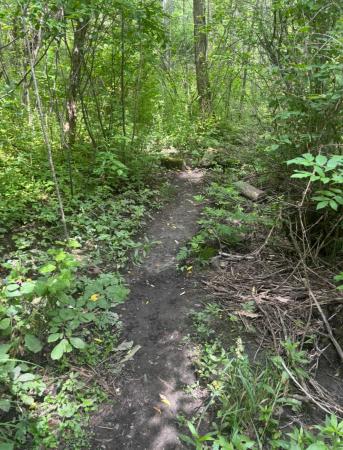 Sentier secondaire longeant la rivière Chaudière