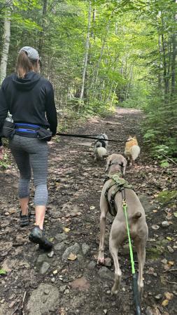 Mon chien Dumbo, mon amie Julie et ces filles